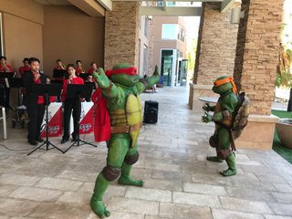 Teenage Mutant Ninja Turtles